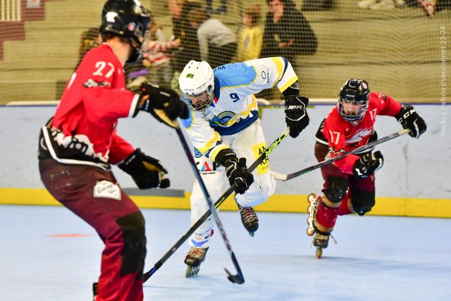 Photo hockey reportage Roller N3 - Villard Bonnot - Strasbourg