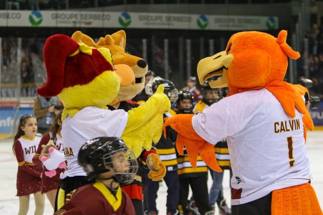 Photo hockey match Genève - Ajoie le 03/02/2024