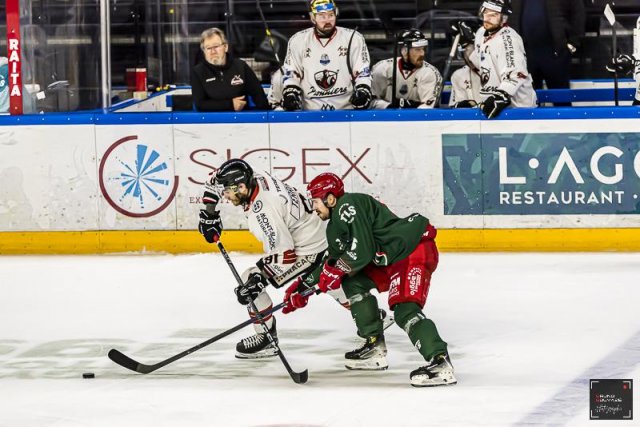 Photo hockey match Cergy-Pontoise - Chamonix  le 23/02/2024