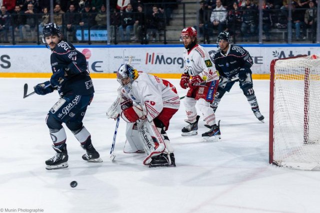 Photo hockey match Angers  - Grenoble  le 27/02/2024