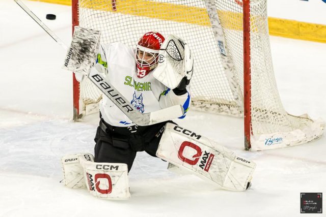 Photo hockey match France - Slovenia le 24/04/2024