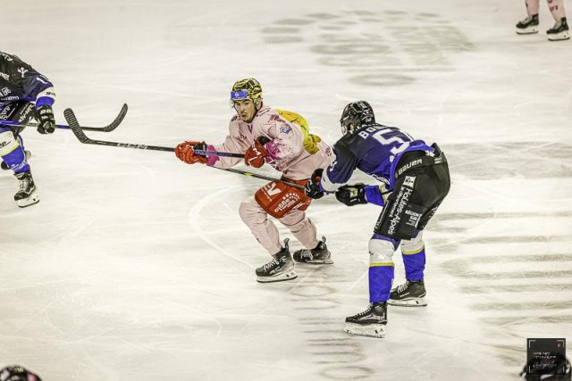 Photo hockey match Cergy-Pontoise - Gap  le 15/10/2024