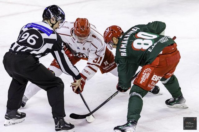 Photo hockey match Cergy-Pontoise - Briançon  le 19/11/2024