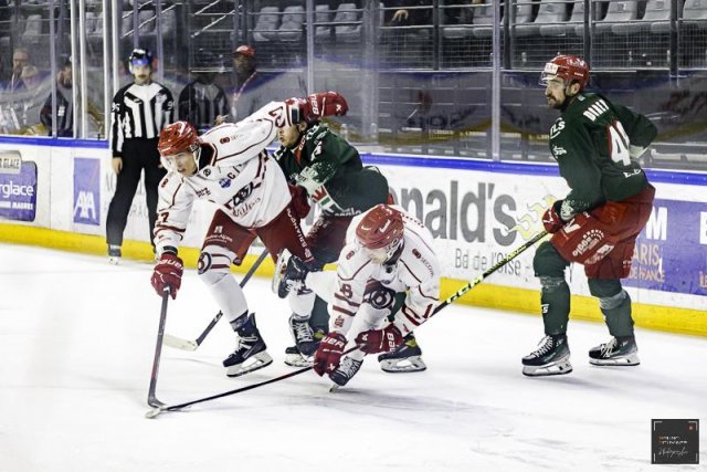 Photo hockey match Cergy-Pontoise - Briançon  le 19/11/2024