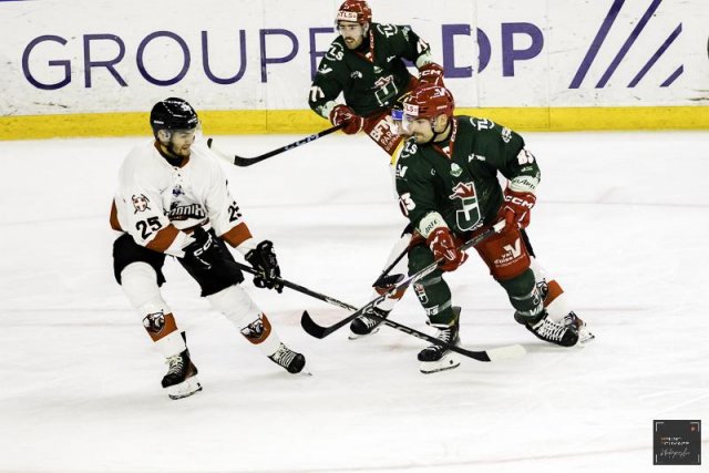 Photo hockey match Cergy-Pontoise - Chamonix  le 20/12/2024