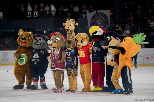 Photo hockey match Bordeaux - Nice le 10/01/2025