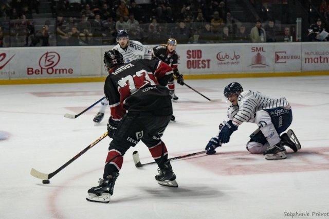 Photo hockey match Bordeaux - Angers  le 24/01/2025