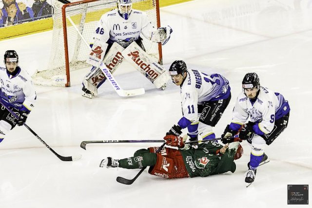 Photo hockey match Cergy-Pontoise - Gap  le 24/01/2025