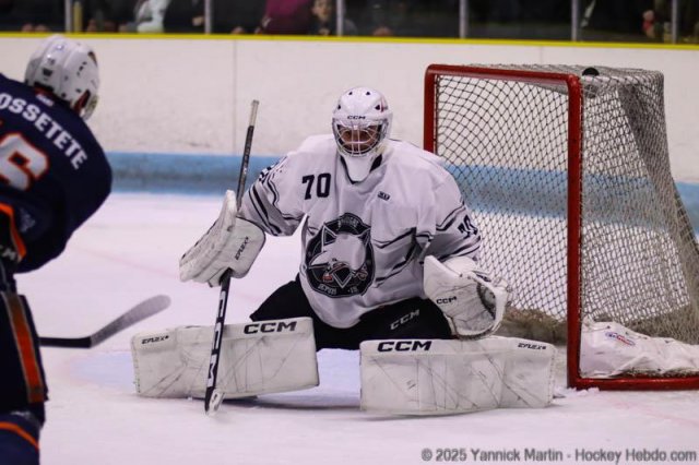 Photo hockey match Clermont-Ferrand - Toulouse-Blagnac le 25/01/2025