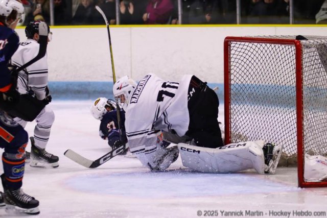 Photo hockey match Clermont-Ferrand - Toulouse-Blagnac le 25/01/2025