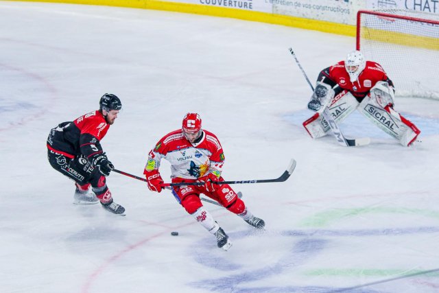 Photo hockey match Amiens  - Grenoble  le 26/01/2025
