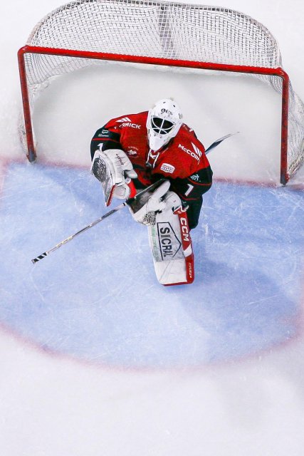 Photo hockey match Amiens  - Grenoble  le 26/01/2025