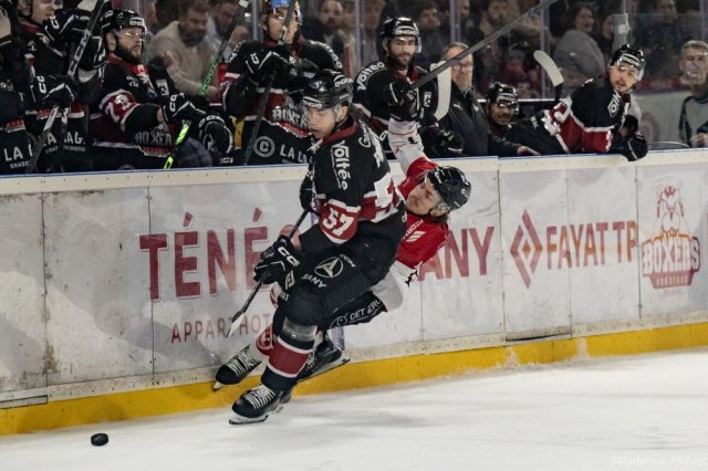 Photo hockey match Bordeaux - Amiens  le 28/01/2025