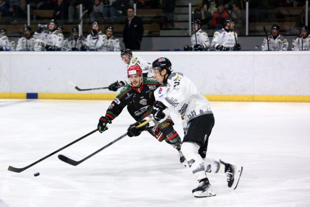 Photo hockey match Mont-Blanc - Brest  le 13/02/2025