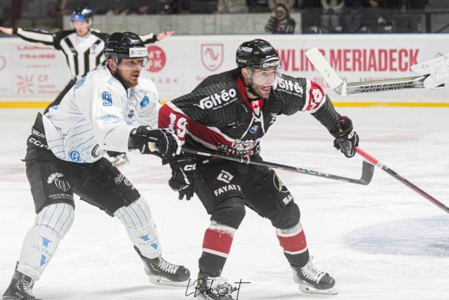 Photo hockey match Bordeaux - Marseille le 01/03/2025