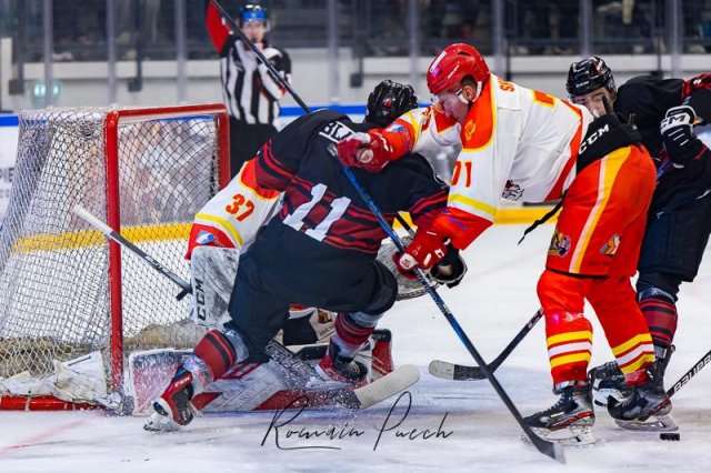 Photo hockey match Toulouse-Blagnac - Orléans le 08/03/2025