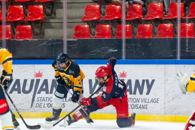 Photo hockey reportage Les jeunes BDL champions de France