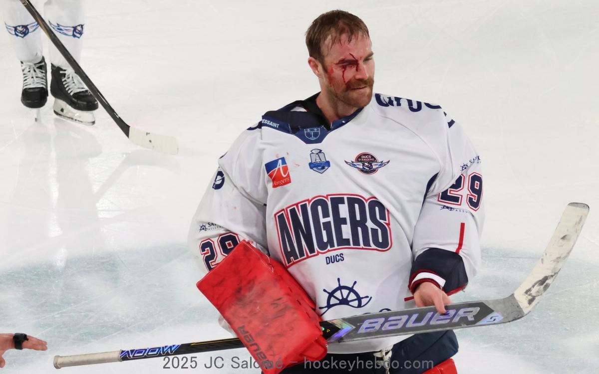 Grenoble  6 - 4 Angers 