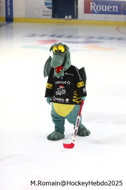 Photo hockey match Rouen - Marseille le 21/12/2025