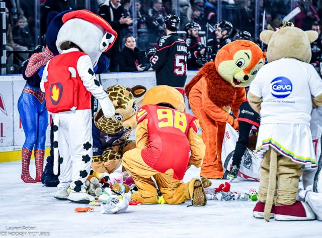 Photo hockey match Bordeaux - Briançon  le 16/01/2026
