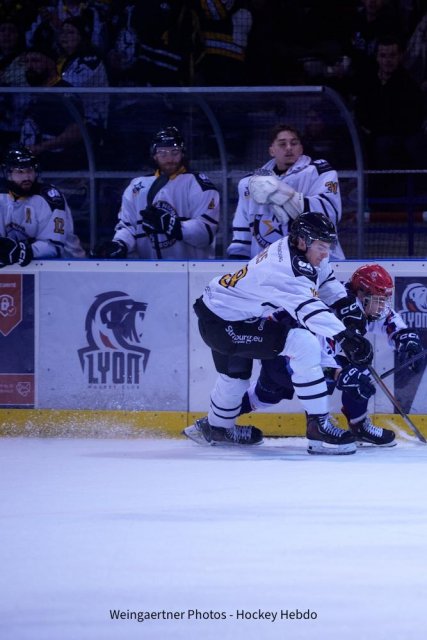 Photo hockey match Lyon - Strasbourg  le 24/01/2026