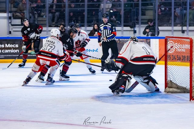 Photo hockey match Toulouse-Blagnac - Dijon  le 31/01/2026