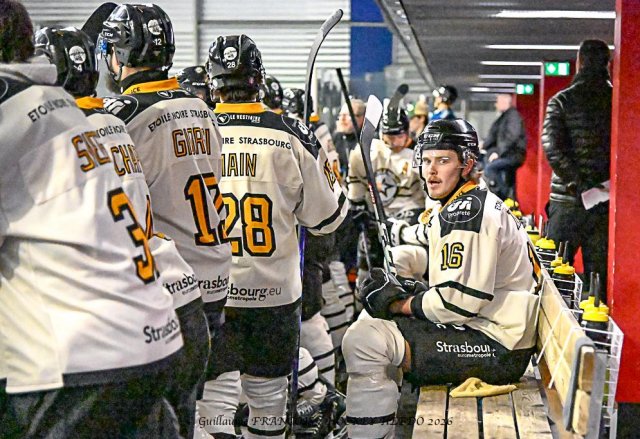 Photo hockey match Nantes - Strasbourg  le 03/02/2026
