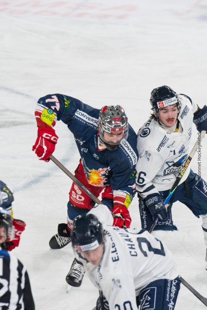 Photo hockey match Grenoble  - Gap  le 22/02/2026