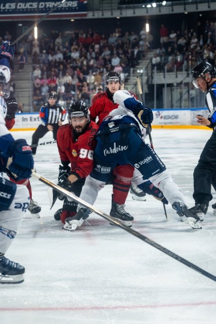 Photo hockey match Angers  - Bordeaux le 30/08/2026