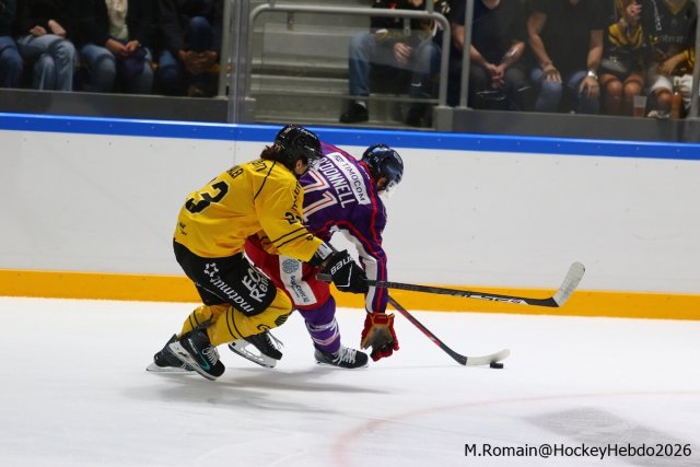 Photo hockey match Rouen - Düsseldorf le 05/09/2026