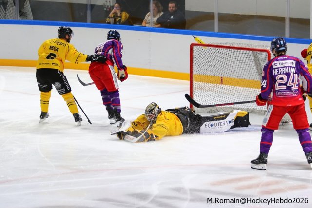 Photo hockey match Rouen - Düsseldorf le 05/09/2026