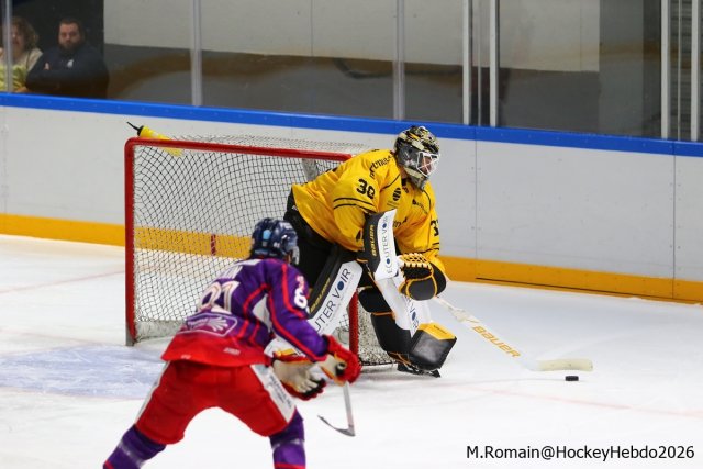 Photo hockey match Rouen - Düsseldorf le 05/09/2026