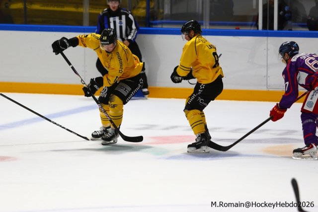 Photo hockey match Rouen - Düsseldorf le 05/09/2026