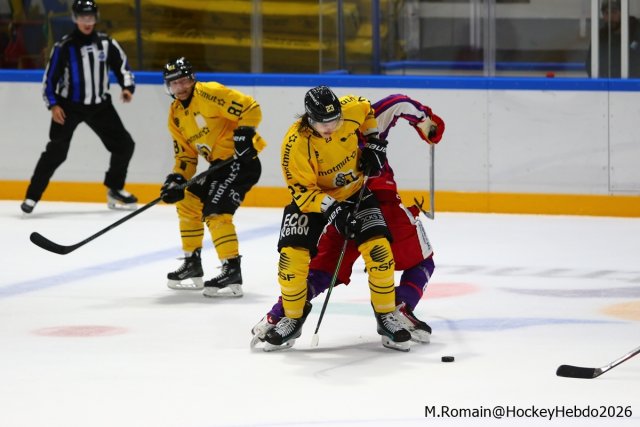 Photo hockey match Rouen - Düsseldorf le 05/09/2026