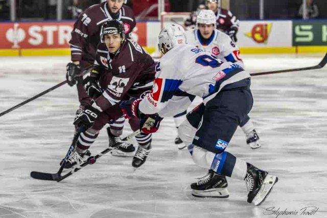Photo hockey match Bordeaux - Mannheim le 11/09/2026