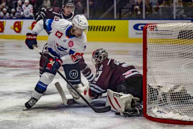 Photo hockey match Bordeaux - Mannheim le 11/09/2026