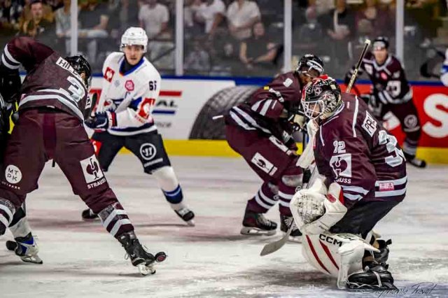 Photo hockey match Bordeaux - Mannheim le 11/09/2026
