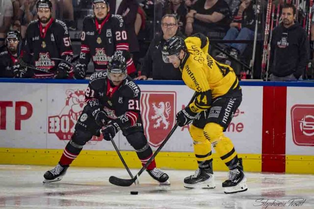 Photo hockey match Bordeaux - Rouen le 27/09/2026