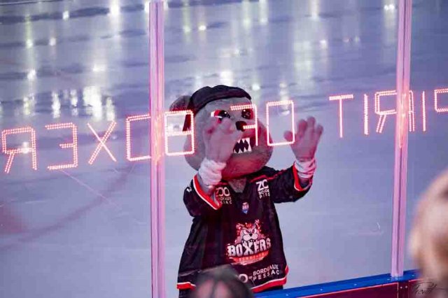 Photo hockey match Bordeaux - Chamonix  le 02/10/2026
