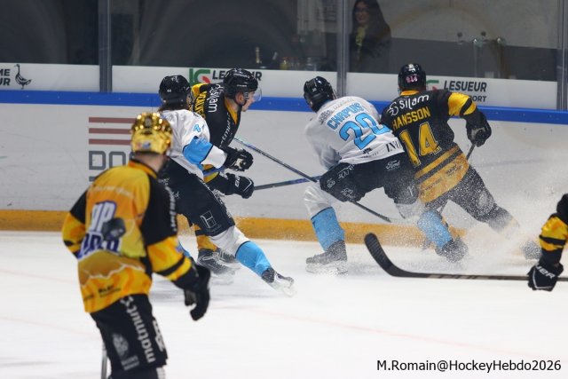 Photo hockey match Rouen - Marseille le 15/10/2026