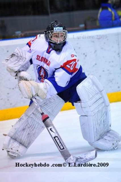 Photo hockey reportage France-Slovénie