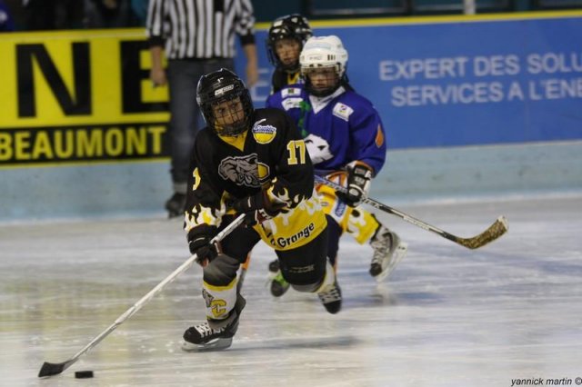 Photo hockey reportage Week-end chargé pour les Marcassins du HCCA