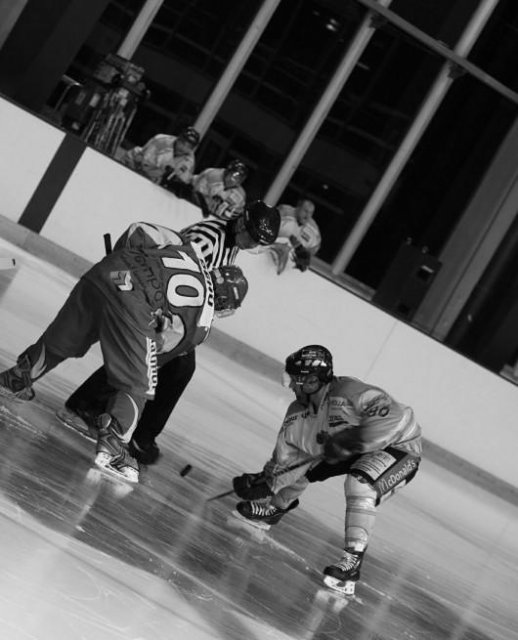 Photo hockey match Orléans - Chambéry le 09/10/2010