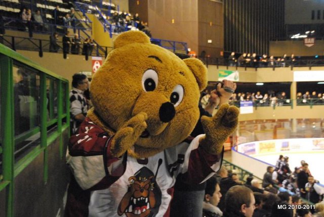 Photo hockey match Bordeaux - Montpellier  le 20/11/2010