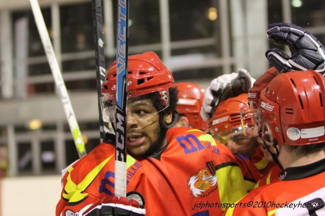 Photo hockey match Orléans - Wasquehal Lille le 11/12/2010