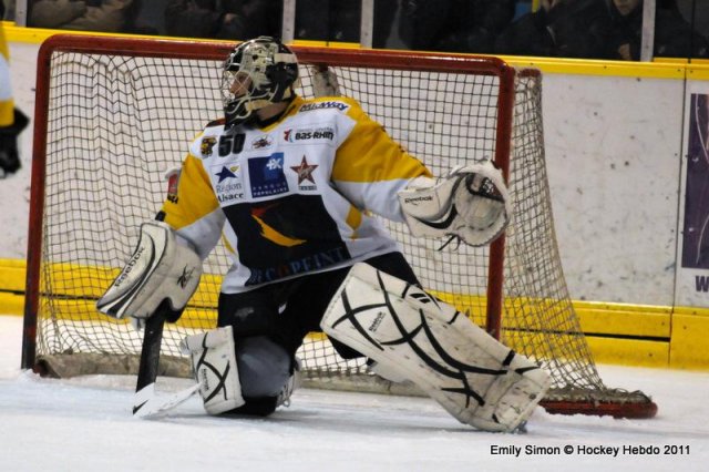 Photo hockey match Dijon  - Strasbourg  le 28/01/2011
