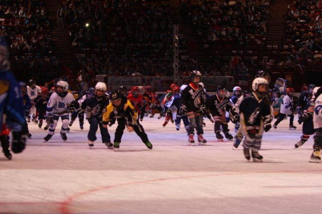 Photo hockey reportage Finale Coupe de France 2011 : Reportage photos 1