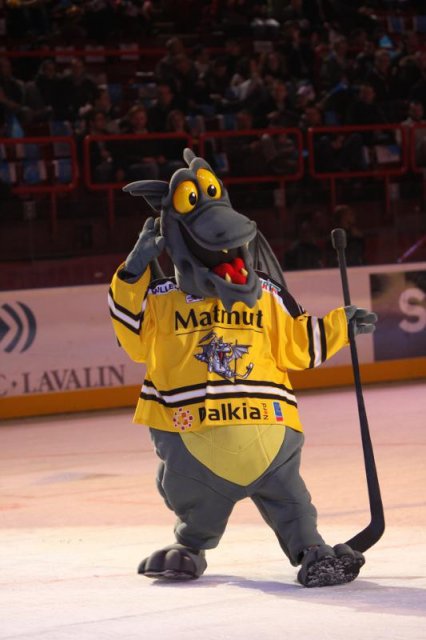 Photo hockey reportage Finale Coupe de France 2011 : Reportage photos 1
