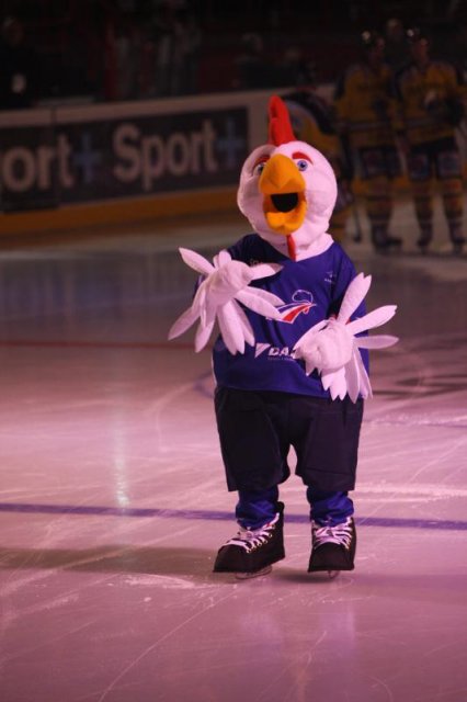 Photo hockey reportage Finale Coupe de France 2011 : Reportage photos 1