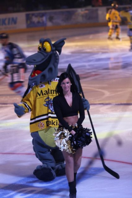 Photo hockey reportage Finale Coupe de France 2011 : Reportage photos 1